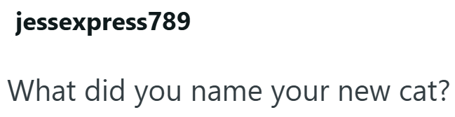 jessexpress 789 What did you name your new cat?