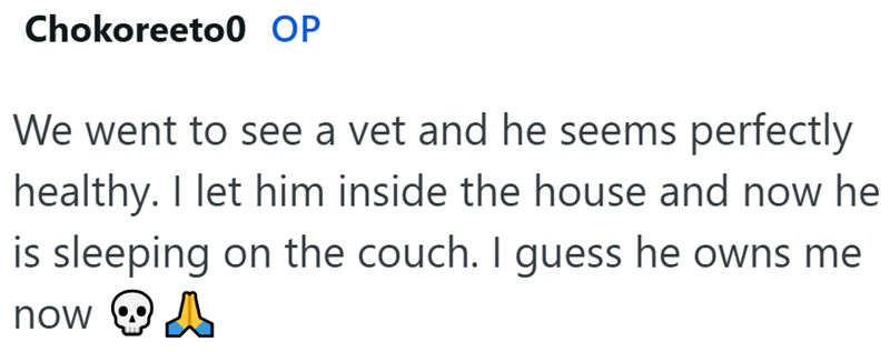 Chokoreeto0 OP We went to see a vet and he seems perfectly healthy. I let him inside the house and now he is sleeping on the couch. I guess he owns me now A