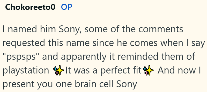 Chokoreeto0 OP I named him Sony, some of the comments requested this name since he comes when I say "pspsps" and apparently it reminded them of playstation It was a perfect fit ✶ And now I present you one brain cell Sony