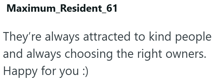 Maximum_Resident_61 They're always attracted to kind people and always choosing the right owners. Happy for you :)