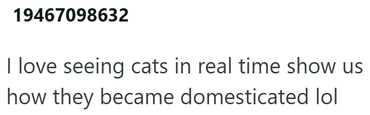 19467098632 I love seeing cats in real time show us how they became domesticated lol