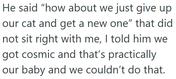 He said "how about we just give up our cat and get a new one" that did not sit right with me, I told him we got cosmic and that's practically our baby and we couldn't do that.