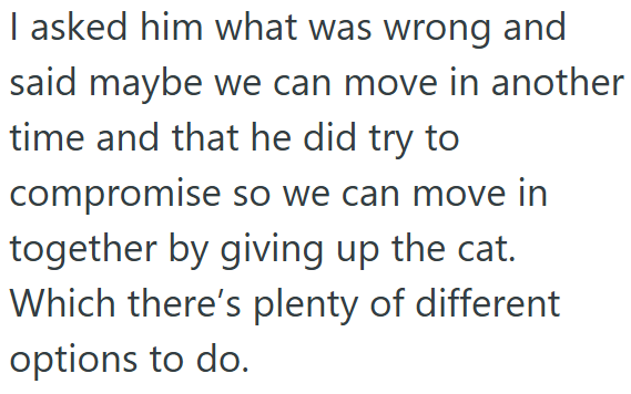 I asked him what was wrong and said maybe we can move in another time and that he did try to compromise so we can move in together by giving up the cat. Which there's plenty of different options to do.