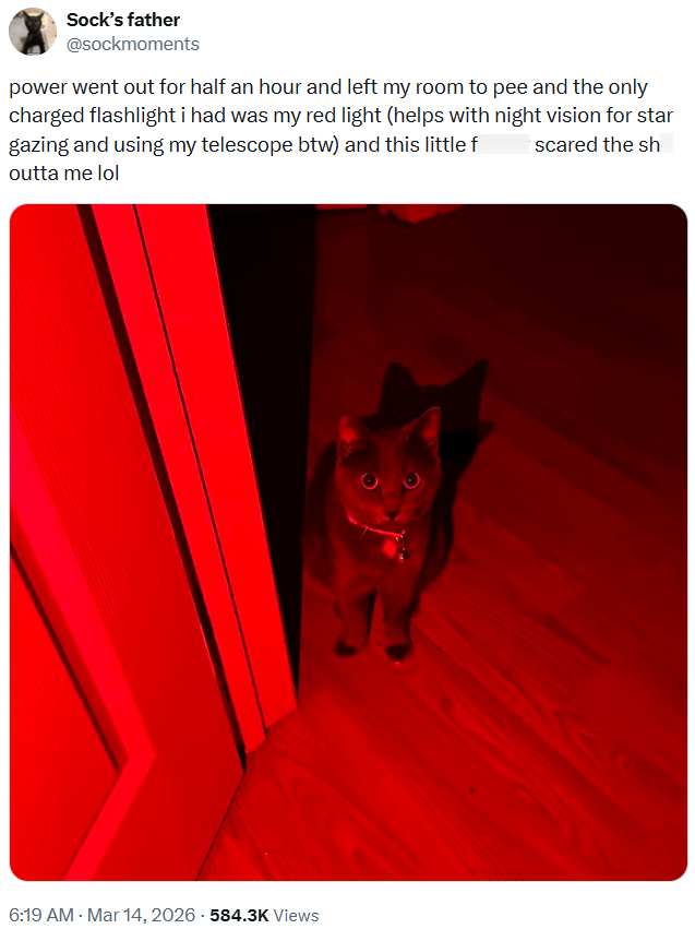 Sock's father @sockmoments power went out for half an hour and left my room to pee and the only charged flashlight i had was my red light (helps with night vision for star gazing and using my telescope btw) and this little f outta me lol scared the sh 6:19 AM · Mar 14, 2026-584.3K Views