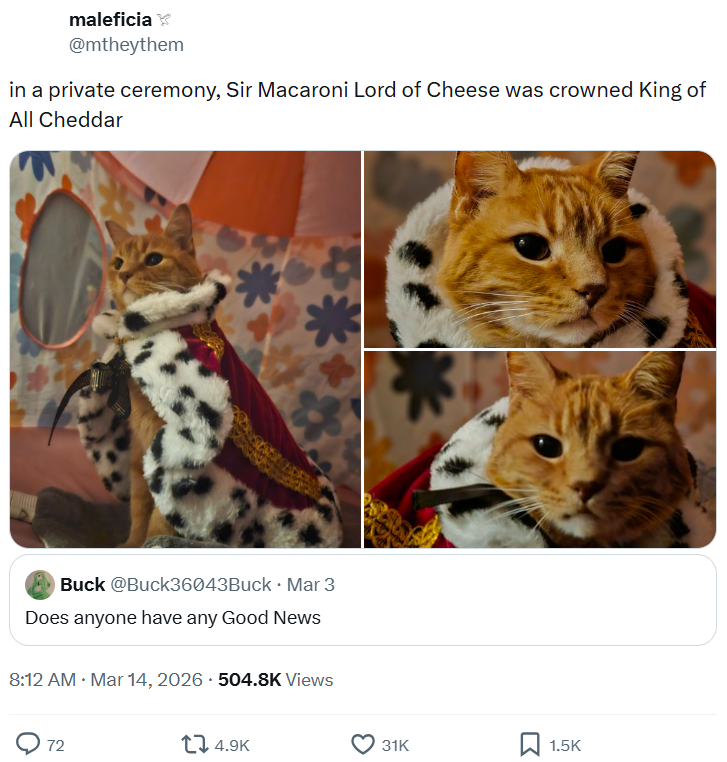 maleficia @mtheythem in a private ceremony, Sir Macaroni Lord of Cheese was crowned King of All Cheddar Buck @Buck36043Buck • Mar 3 Does anyone have any Good News 8:12 AM · Mar 14, 2026 504.8K Views 72 14.9K 31K 1.5K