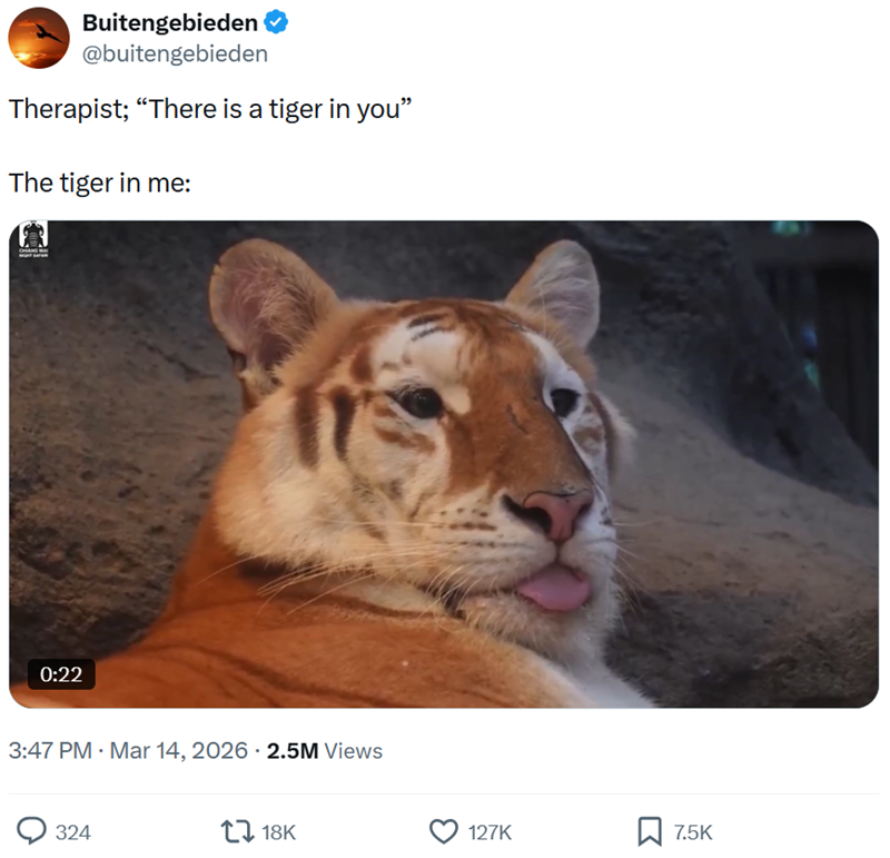 Buitengebieden @buitengebieden Therapist; "There is a tiger in you" The tiger in me: 0:22 3:47 PM · Mar 14, 2026 2.5M Views 324 18K 127K ☐ 7.5K