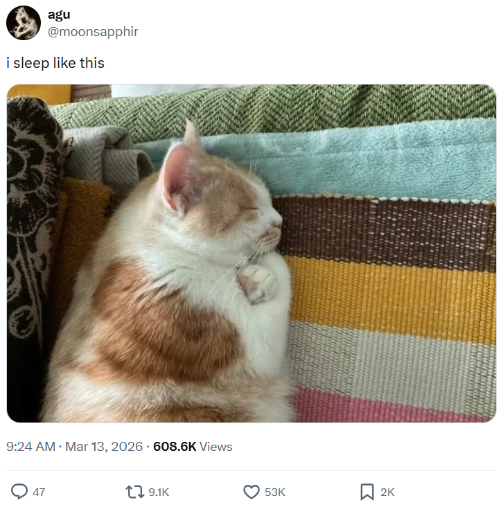 agu @moonsapphir i sleep like this 9:24 AM · Mar 13, 2026 608.6K Views 47 9.1K 53K 2K