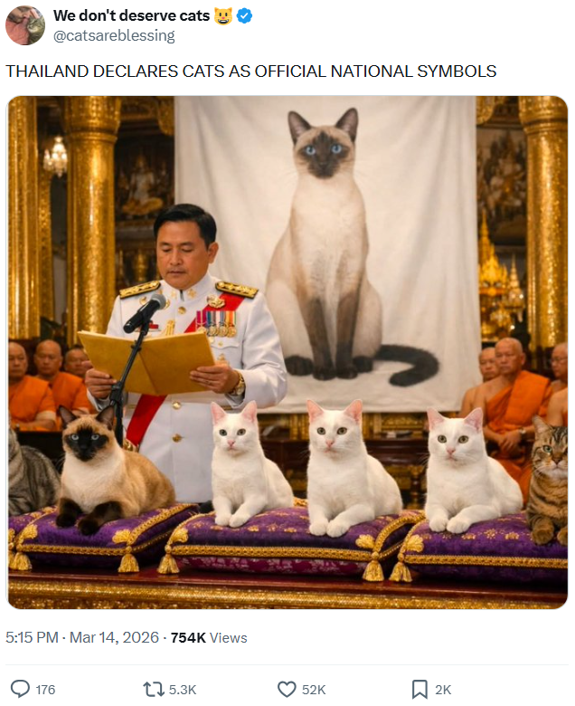 We don't deserve cats @catsareblessing THAILAND DECLARES CATS AS OFFICIAL NATIONAL SYMBOLS 5:15 PM - Mar 14, 2026 - 754K Views 176 15.3K 52K ☐ 2K