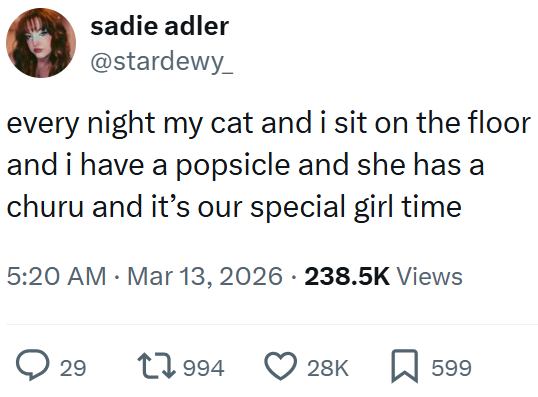 sadie adler @stardewy every night my cat and i sit on the floor and i have a popsicle and she has a churu and it's our special girl time 5:20 AM · Mar 13, 2026 · 238.5K Views > 29 1994 28K ☐ 599