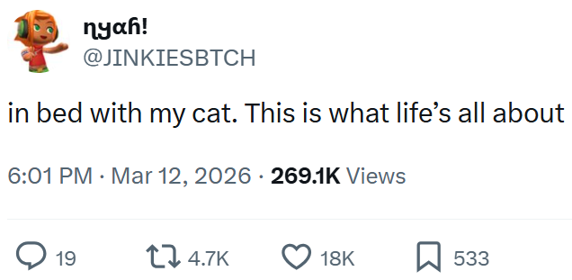 nyah! @JINKIESBTCH in bed with my cat. This is what life's all about 6:01 PM Mar 12, 2026 269.1K Views 19 14.7K 18K ☐ 533