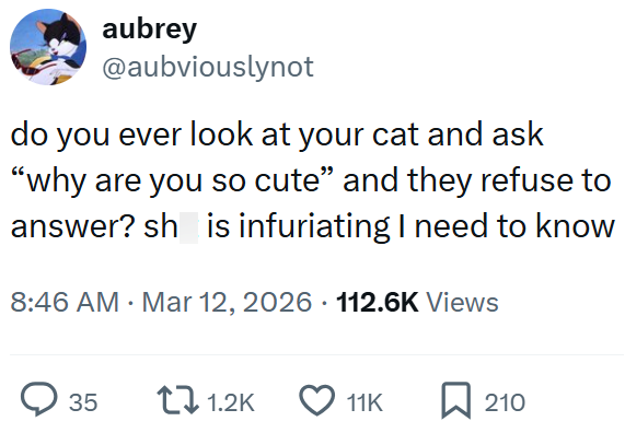 aubrey @aubviouslynot do you ever look at your cat and ask "why are you so cute" and they refuse to answer? sh is infuriating I need to know 8:46 AM · Mar 12, 2026 112.6K Views • 35 1.2K 11K ☐ 210