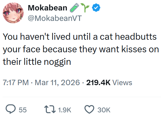 Mokabean @MokabeanVT You haven't lived until a cat headbutts your face because they want kisses on their little noggin • 7:17 PM Mar 11, 2026 · 219.4K Views 55 171.9K 30K