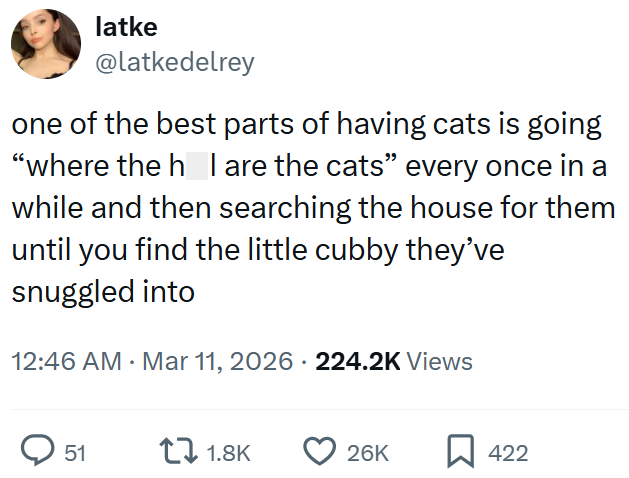 latke @latkedelrey one of the best parts of having cats is going "where the h I are the cats" every once in a while and then searching the house for them until you find the little cubby they've snuggled into 12:46 AM · Mar 11, 2026 224.2K Views 51 1.8K 26K 422