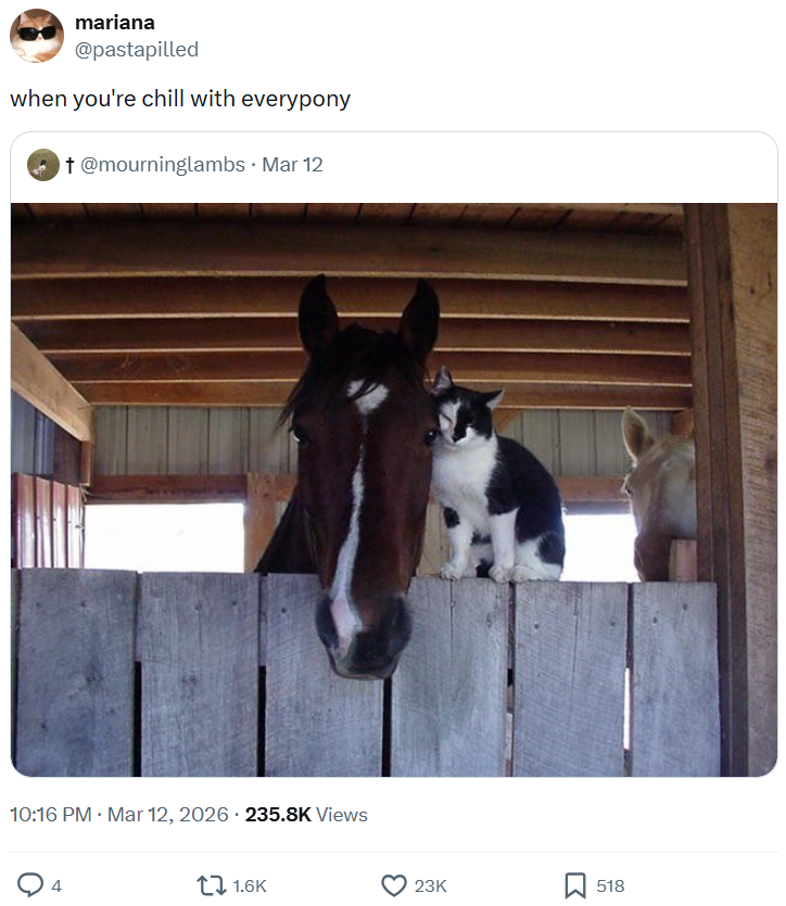mariana @pastapilled when you're chill with everypony † @mourninglambs • Mar 12 • • 10:16 PM · Mar 12, 2026 235.8K Views 1.6K 23K 518