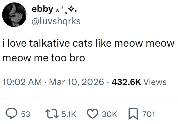 ebby ** ✩ @luvshqrks i love talkative cats like meow meow meow me too bro 10:02 AM · Mar 10, 2026 432.6K Views > 53 15.1K 30K ☐ 701
