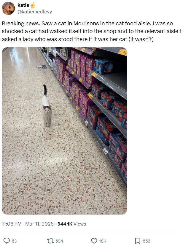 katie @katiemedleyy Breaking news. Saw a cat in Morrisons in the cat food aisle. I was so shocked a cat had walked itself into the shop and to the relevant aisle I asked a lady who was stood there if it was her cat (it wasn't) 11:06 PM - Mar 11, 2026 - 344.1K Views 63 1594 29 18K ☐ 653