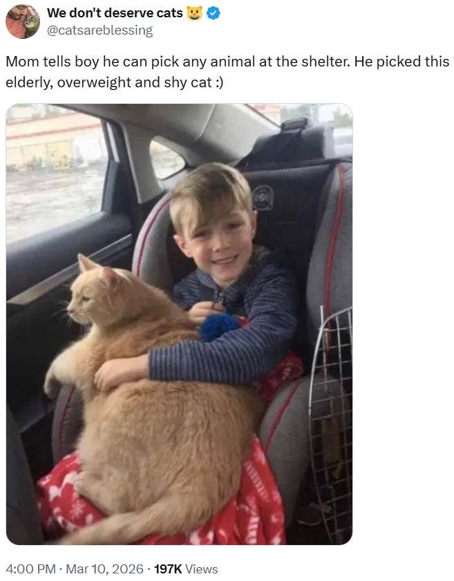 We don't deserve cats @catsareblessing Mom tells boy he can pick any animal at the shelter. He picked this elderly, overweight and shy cat :) • 4:00 PM · Mar 10, 2026 197K Views .