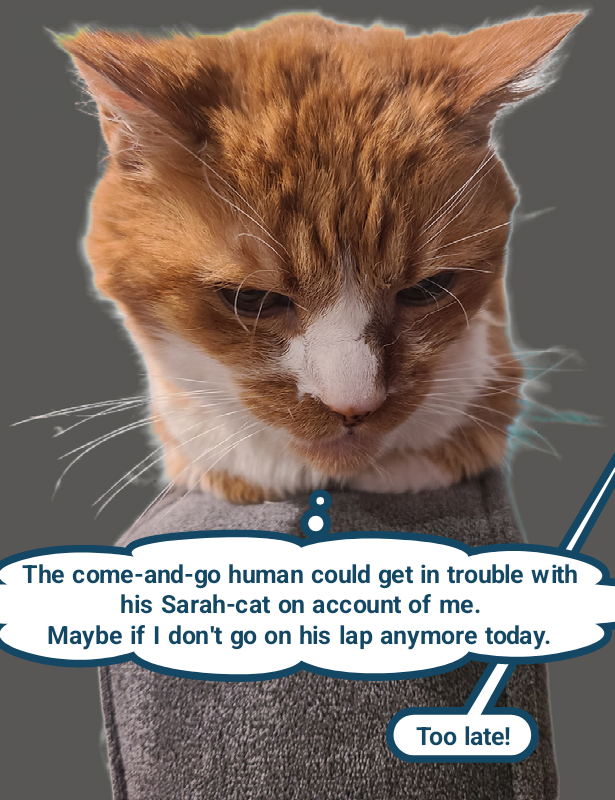 Cheezburger Image 10615474688