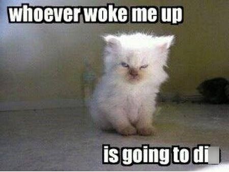 whoever woke me up is going to di