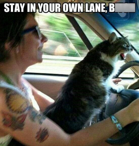 STAY IN YOUR OWN LANE, BI
