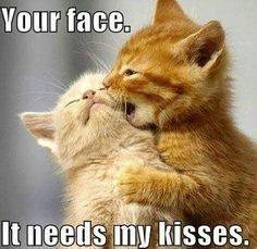 Your face. It needs my kisses.