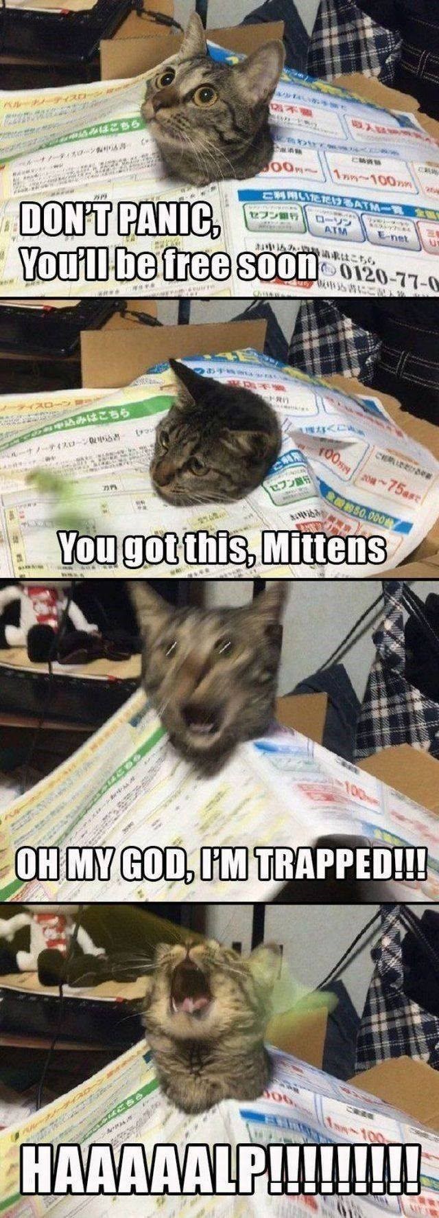 申込みはこちら 合わせて 500円 1万円~100万円 DON'T PANIC セブン銀行 ご利用いただけるATM一覧 食 ローソン ATM E-net You'll be free soon 0120-77-0 「販申込書にごり お申込み・ はこちら 込みはこちら ノーローン申込者 77 セブン銀行 100 さい込み ご利用いただけ 20~75日まで 約50,000 You got this, Mittens ~100 OH MY GOD, I'M TRAPPED!!! 06 NW100 HAAAAALP!!!!!!!!!