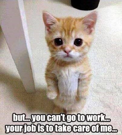 but...you can't go to work.. your job is to take care of me...