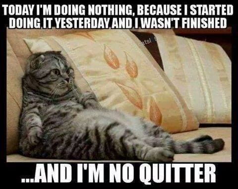 TODAY I'M DOING NOTHING, BECAUSE I STARTED DOING IT YESTERDAY AND I WASN'T FINISHED catsl ...AND I'M NO QUITTER