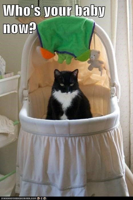 Who's your baby now? ICANHASCHEEZBURGER.COM