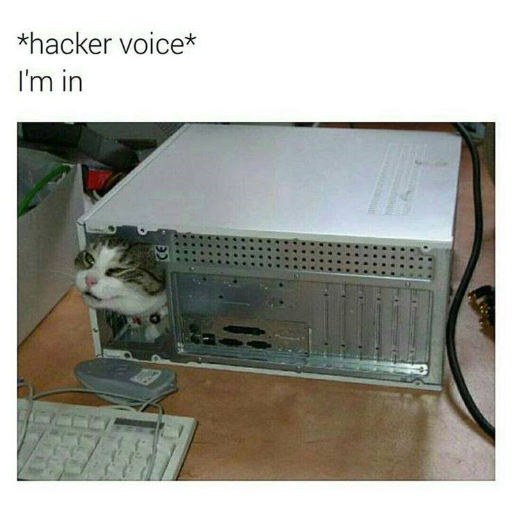 CE *hacker voice* I'm in