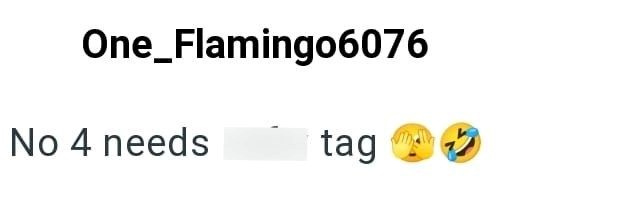 One_Flamingo6076 No 4 needs tag