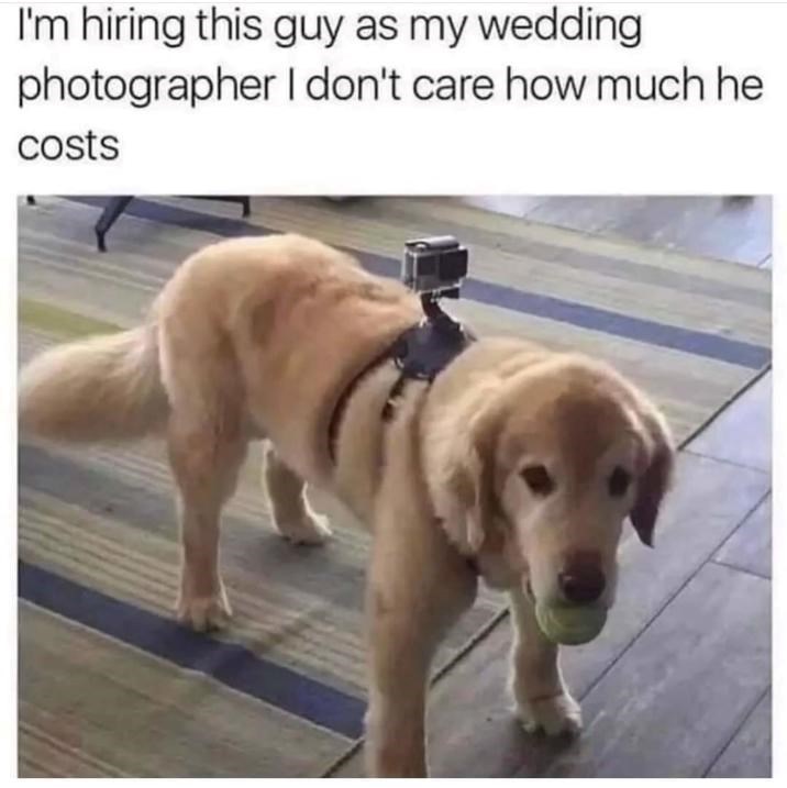 I'm hiring this guy as my wedding photographer I don't care how much he costs