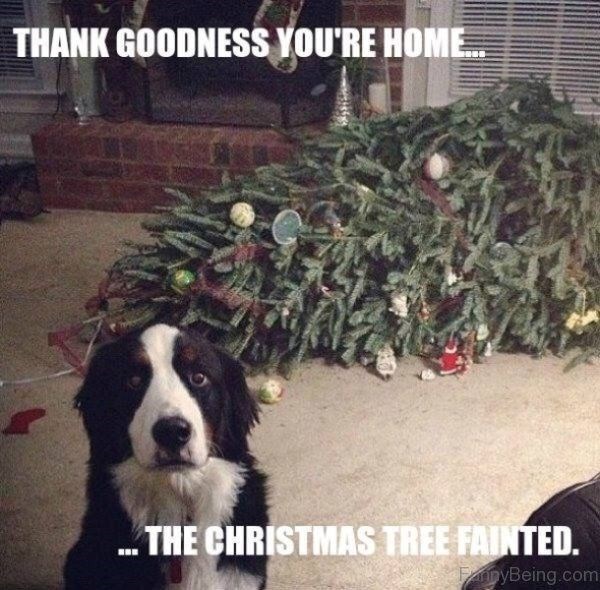 THANK GOODNESS YOU'RE HOME... ...THE CHRISTMAS TREE FAINTED. FannyBeing.com