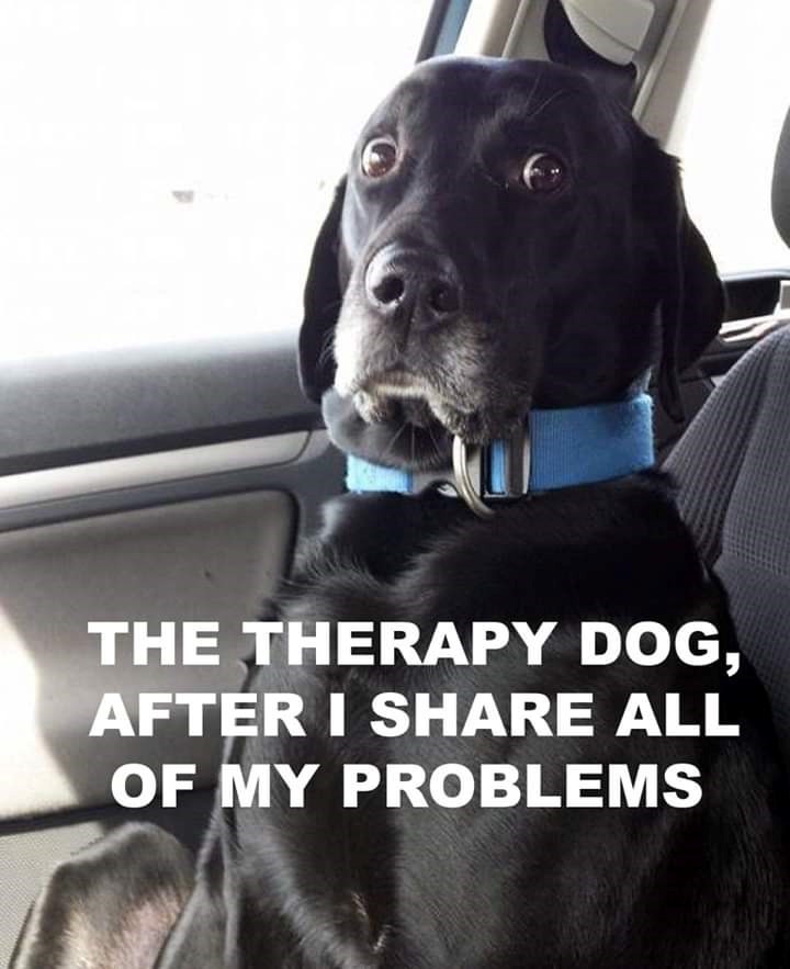 THE THERAPY DOG, AFTER I SHARE ALL OF MY PROBLEMS
