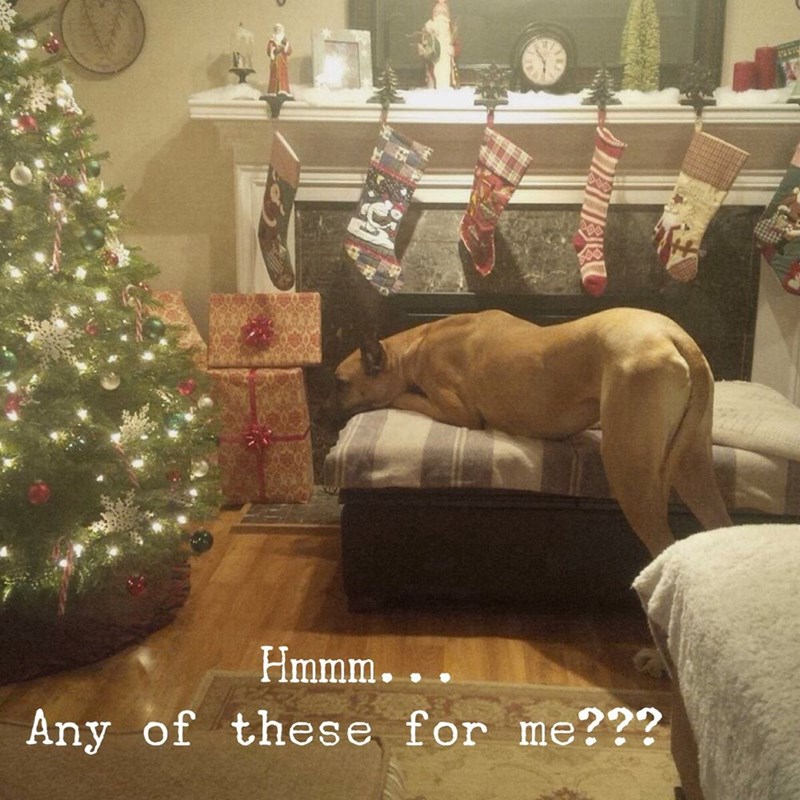 Hmmm... Any of these for me???