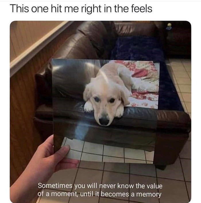 This one hit me right in the feels Sometimes you will never know the value of a moment, until it becomes a memory