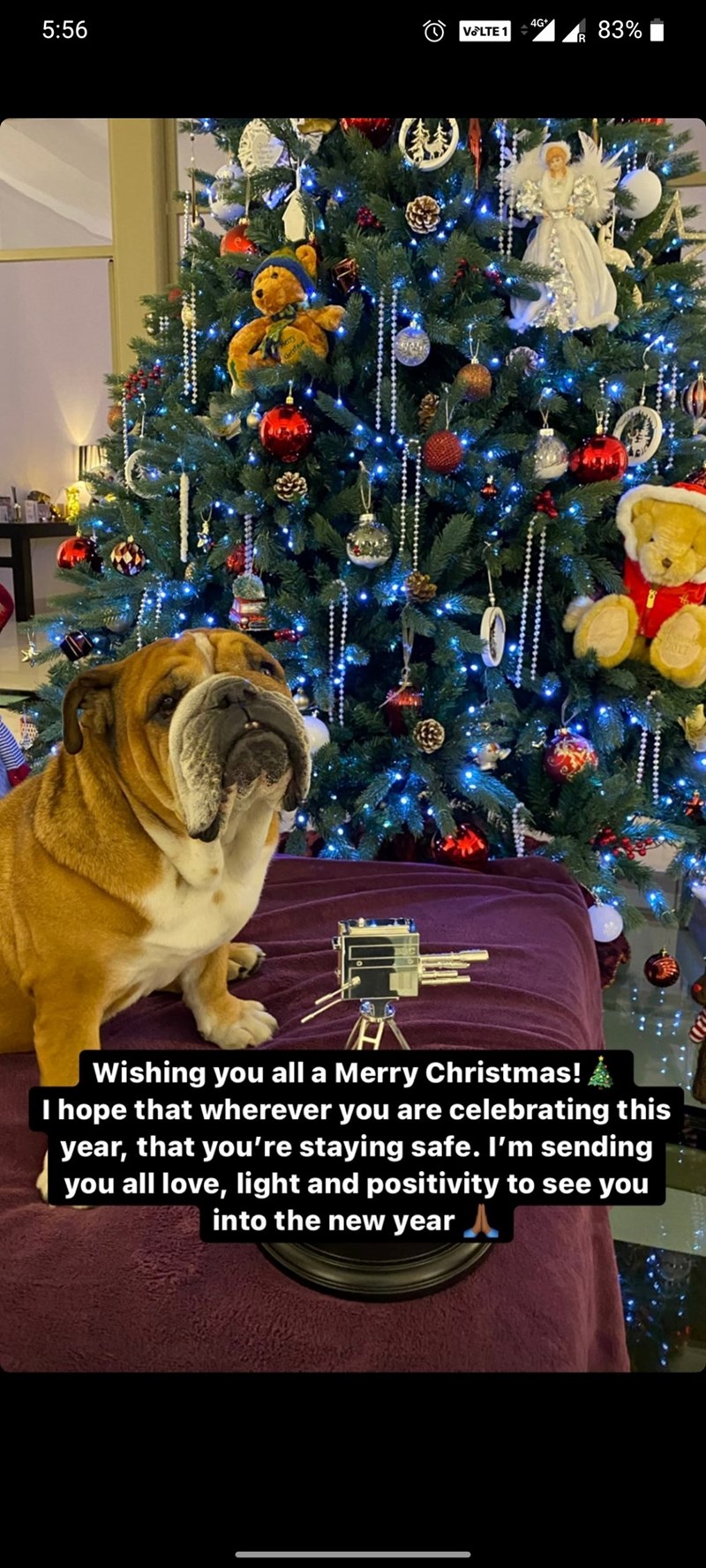 5:56 VoLTE 1 4G+ Christe Wishing you all a Merry Christmas! I hope that wherever you are celebrating this year, that you're staying safe. I'm sending you all love, light and positivity to see you into the new year 83% 2017