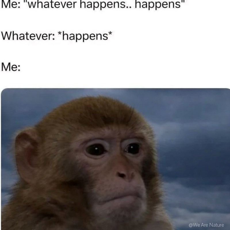Me: "whatever happens.. happens" Whatever: *happens* Me: @We Are Nature
