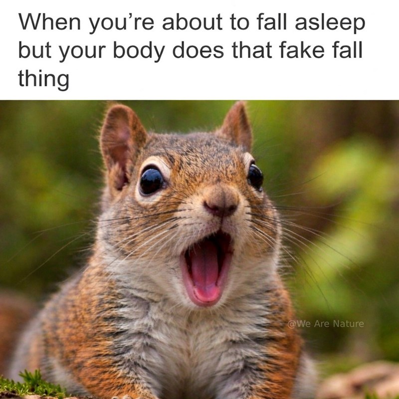 When you're about to fall asleep but your body does that fake fall thing @We Are Nature