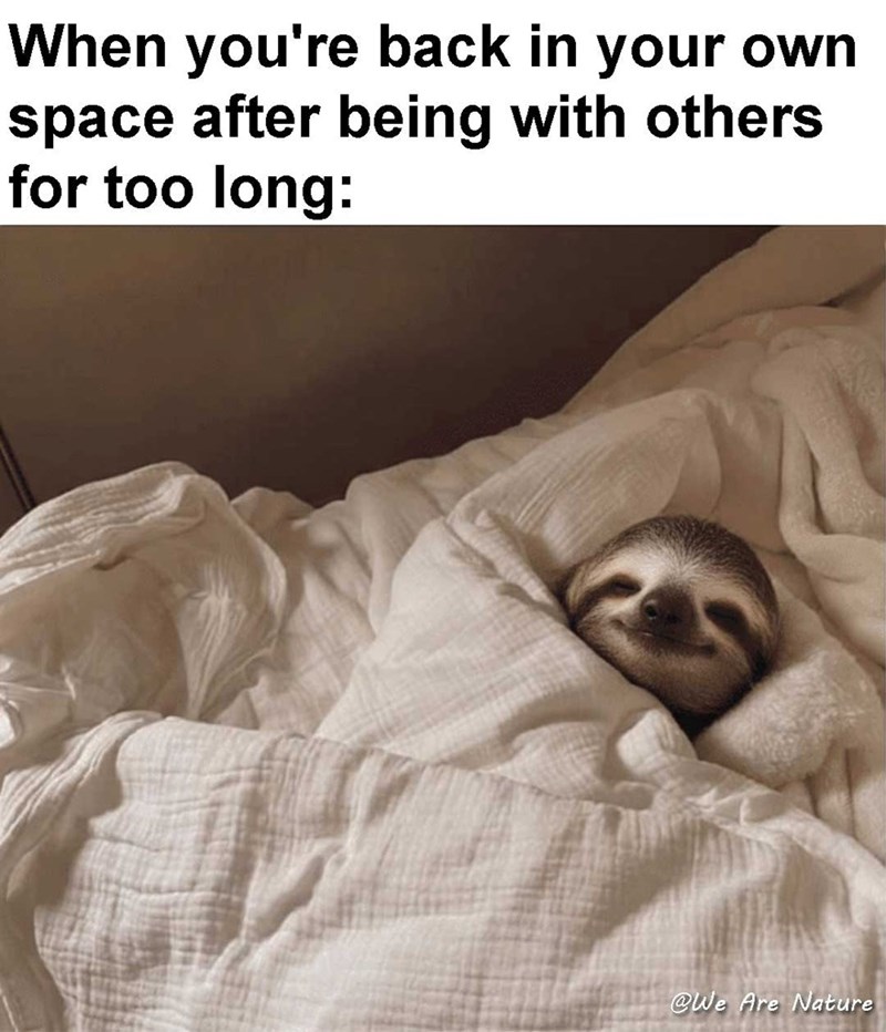 When you're back in your own space after being with others for too long: @We Are Nature