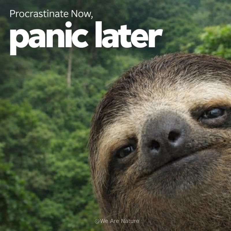 Procrastinate Now, panic later @We Are Nature