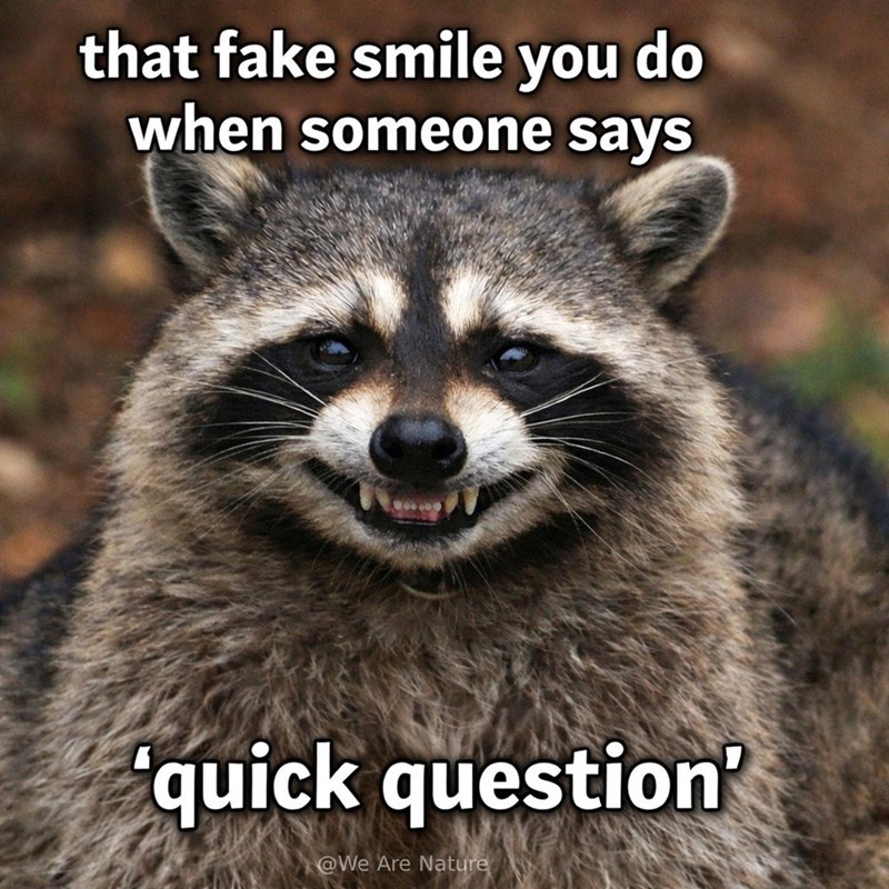 that fake smile you do when someone says 'quick question' @We Are Nature