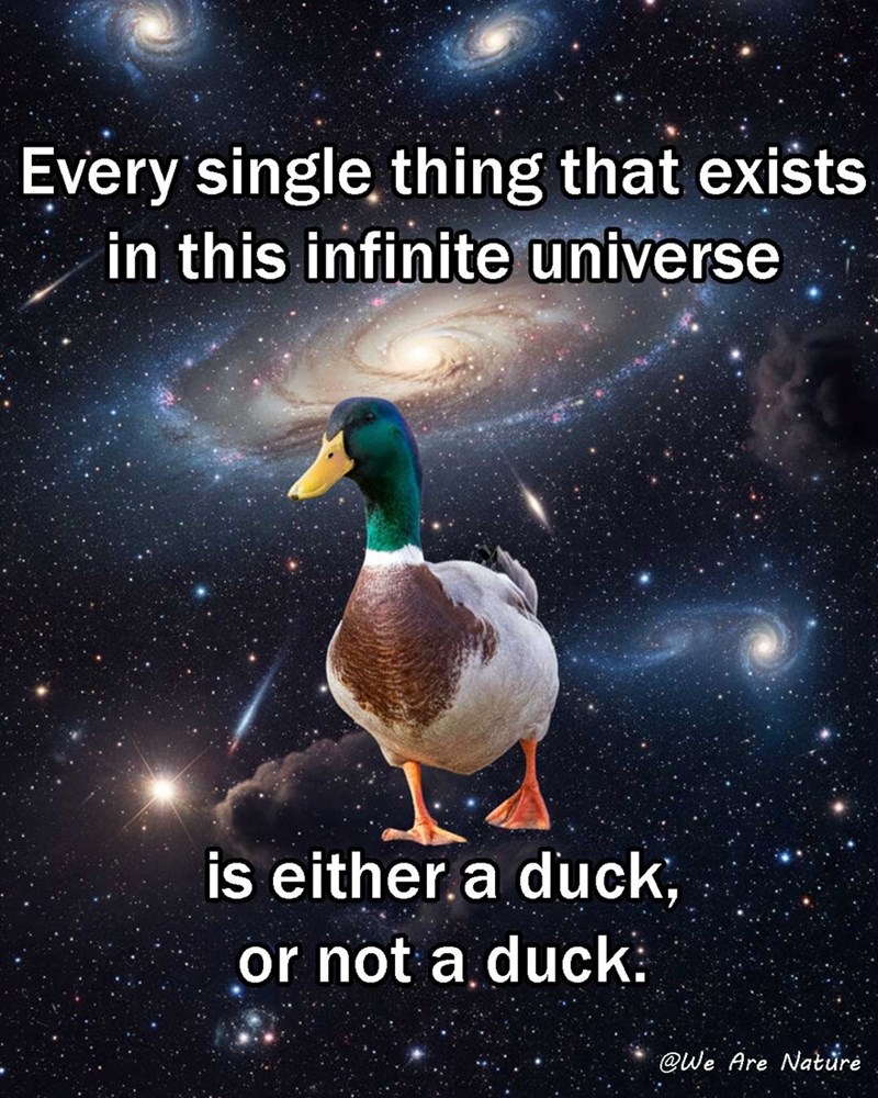 Every single thing that exists in this infinite universe is either a duck, or not a duck: @We Are Nature