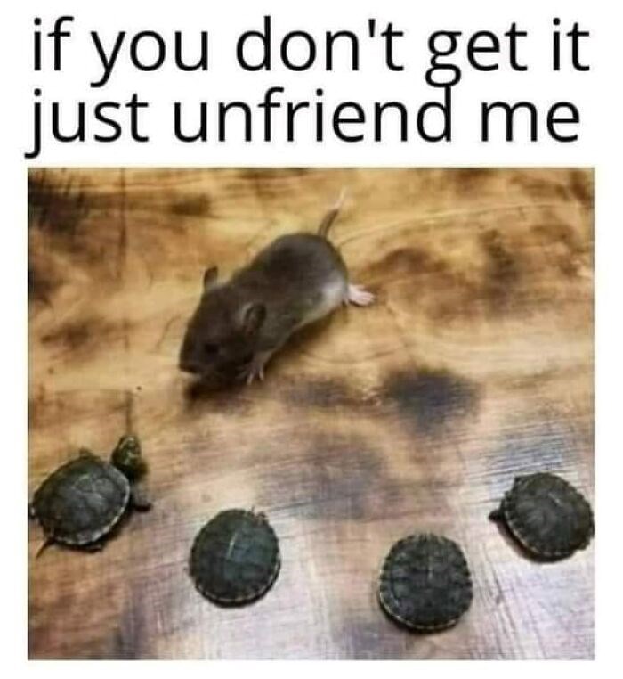 if you don't get it just unfriend me