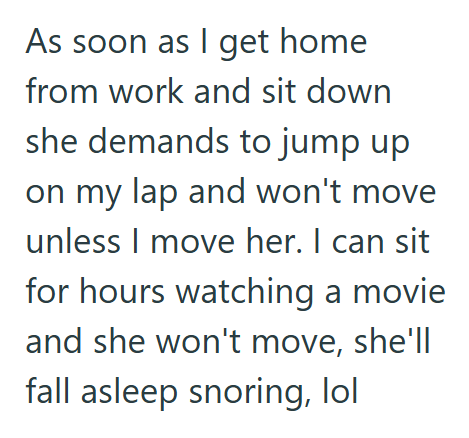 As soon as I get home from work and sit down she demands to jump up on my lap and won't move unless I move her. I can sit for hours watching a movie and she won't move, she'll fall asleep snoring, lol
