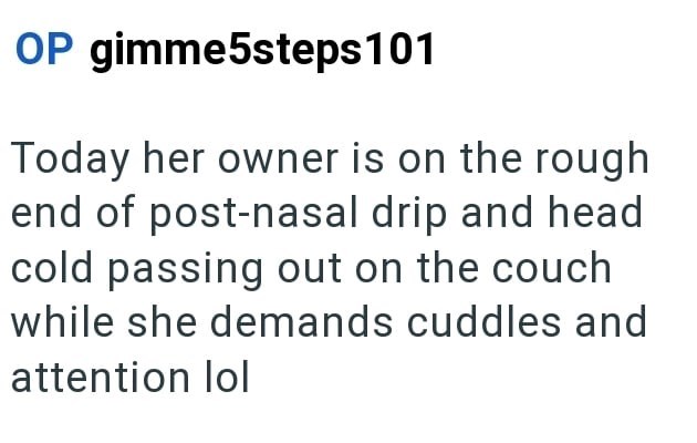 OP gimme5steps101 Today her owner is on the rough end of post-nasal drip and head cold passing out on the couch while she demands cuddles and attention lol