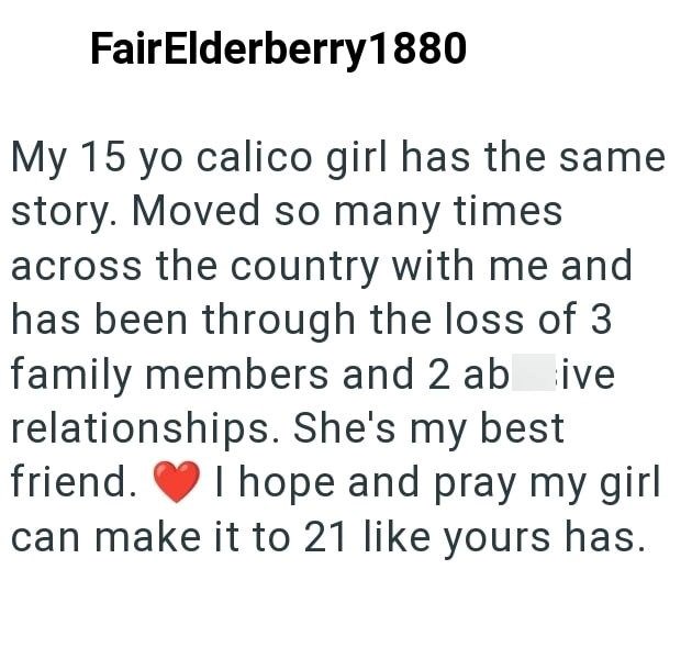 FairElderberry1880 My 15 yo calico girl has the same story. Moved so many times across the country with me and has been through the loss of 3 family members and 2 abive relationships. She's my best friend. I hope and pray my girl can make it to 21 like yours has.
