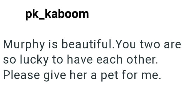 pk_kaboom Murphy is beautiful. You two are so lucky to have each other. Please give her a pet for me.