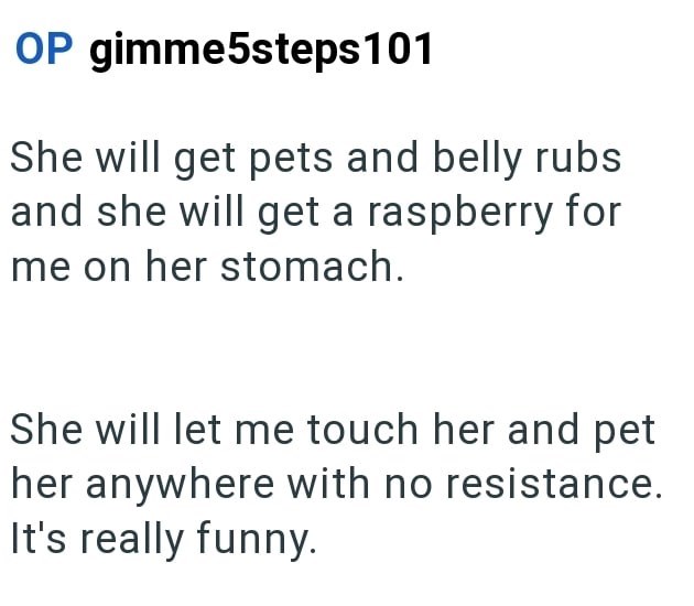OP gimme5steps101 She will get pets and belly rubs and she will get a raspberry for me on her stomach. She will let me touch her and pet her anywhere with no resistance. It's really funny.