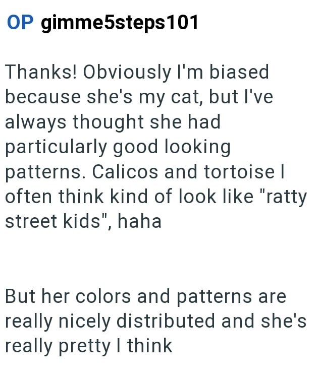 OP gimme5steps101 Thanks! Obviously I'm biased because she's my cat, but I've always thought she had particularly good looking patterns. Calicos and tortoise | often think kind of look like "ratty street kids", haha But her colors and patterns are really nicely distributed and she's really pretty I think